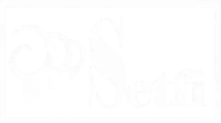 Logo Setfi
